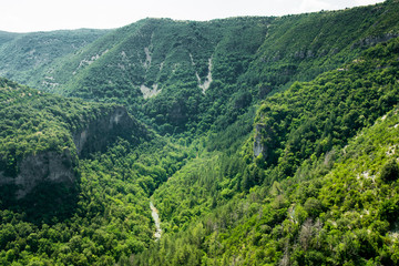 Fototapeta na wymiar The green canyon of the Vis River