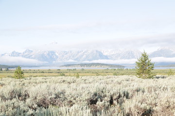   grand teton  national  park