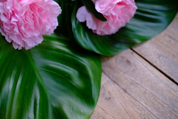 pink tulips on wooden background