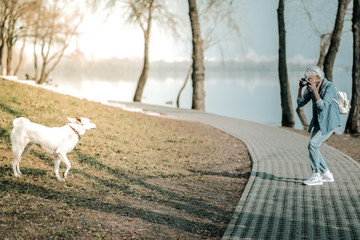 Obraz premium Elderly female photographer taking picture of the dog in park