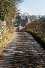 Country Lane and Farmhouse
