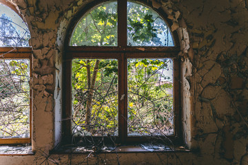 A tree grows through a ruined window