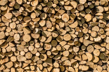 Möbelaufkleber Brennholz aufgestapelt zum trocknen für die Heizperiode © focus finder