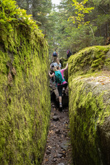 Obraz premium Petit groupe dans un passage étroit lors d'une marche en forêt