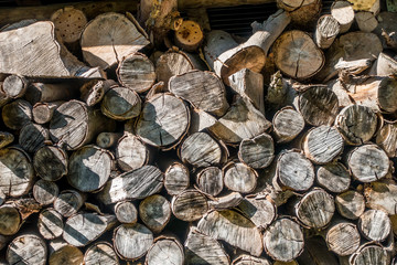 Brennholz aufgestapelt zum trocknen für die Heizperiode © focus finder