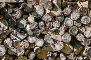 Brennholz aufgestapelt zum trocknen für die Heizperiode © focus finder