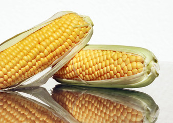 Two yellow corn on cob