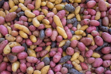 Potatoes for Sale at a Farmer's Market