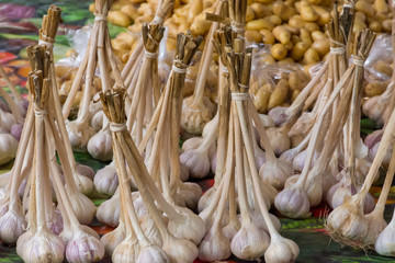 Garlic Bunches