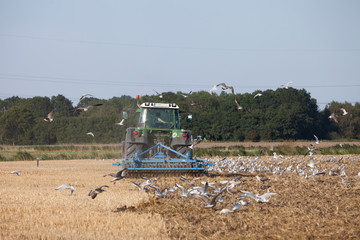 farmer with tractor plows field in late summer on countryside of lower saxony in germany