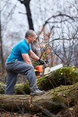 Lumberjack working with chainsaw