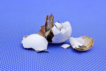 Obraz na płótnie Canvas crushed rottem egg