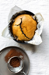 Homemade coffee cake in a springform pan