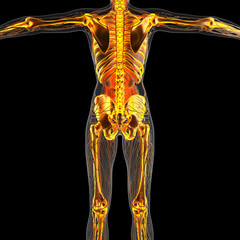 science anatomy of human body in x-ray with glow skeleton bones