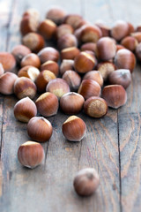 hazelnut on wooden background