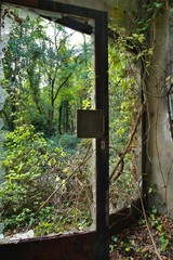destroyed old entrance of a house with iron frame and broken glass in an abandoned house, on the...