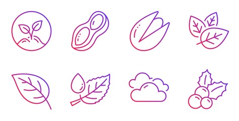 Pistachio nut, Leaf and Leaf dew line icons set. Cloudy weather, Organic tested and Peanut signs. Startup, Christmas holly symbols. Vegetarian food, Environmental. Nature set. Vector