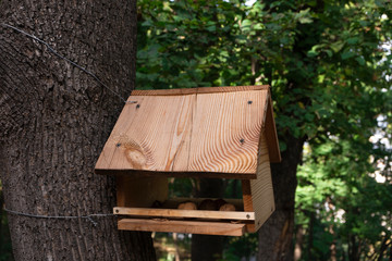 Birdhouse on tree trunk. Hand made wooden bird feeder in park