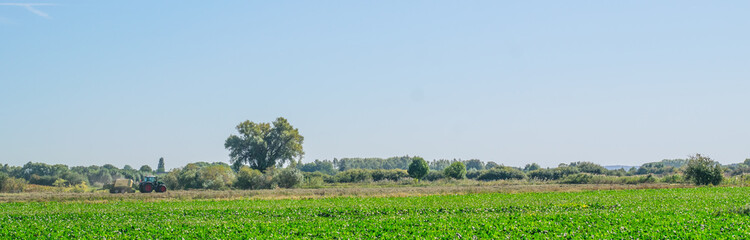 Obraz premium Dutch farmer with tractor driving