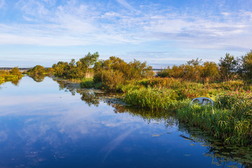 Lakeshore on the late summer with water reflections