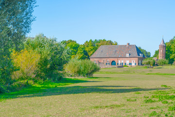 Dutch grass meadow in Ooij