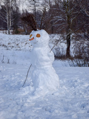 picture with snowman in the winter landscape in the forest