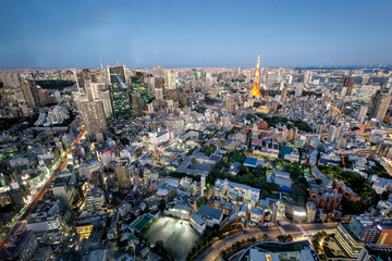 Tokyo Tower and Tokyo skyline by night