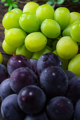 果物 ぶどう 巨峰とマスカット