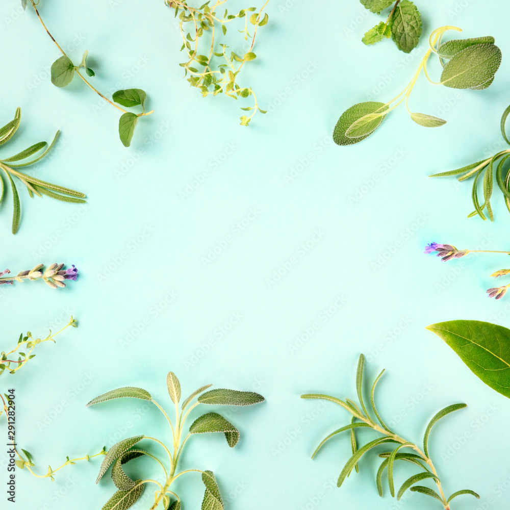 Wall mural Square food design template. Culinary aromatic herbs and spices, shot from above on a teal blue background, forming a frame with a place for text