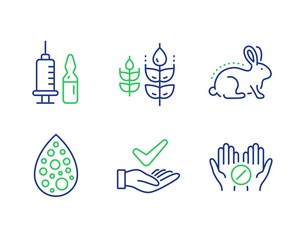 Dermatologically tested, Animal tested and Medical vaccination line icons set. Gluten free, Artificial colors and Medical tablet signs. Organic, Bio product, Syringe vaccine. Bio ingredients. Vector