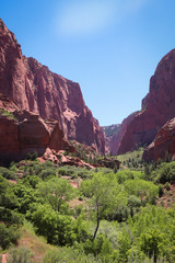 Valley in Kolob Canyon