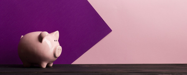 Piggy bank and dollar cash money. Business, finance, investment, saving and corruption concept.