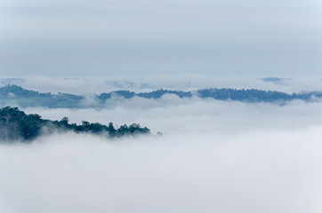 Mist over the top of mountain, sea of mist and clouds