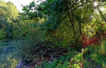 La Bassée National nature reserve in Île de France country