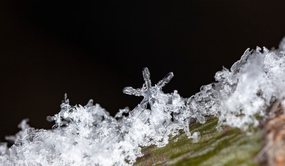 natural snowflakes on snow, winter