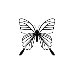 Butterfly logo design vector. Butterfly logo template illustration