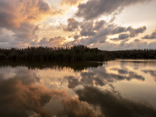 Fototapeta premium In heaven as in Albufera