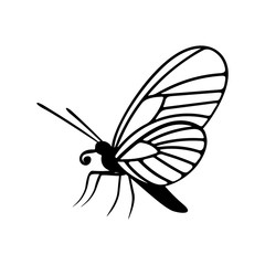 Fototapeta na wymiar Butterfly logo design vector. Butterfly logo template illustration