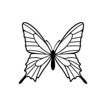 Butterfly logo design vector. Butterfly logo template illustration