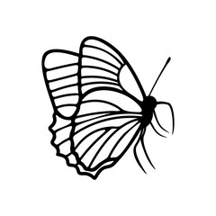 Plakat Butterfly logo design vector. Butterfly logo template illustration