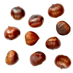 Chestnut Pattern. Roasted  Chestnuts isolated  on white background. Christmas food. Top view. Flat lay