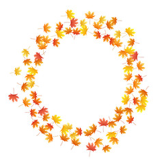 Maple leaves vector background, autumn foliage on white graphic design.