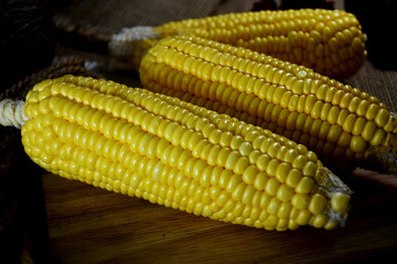 corn on the cob