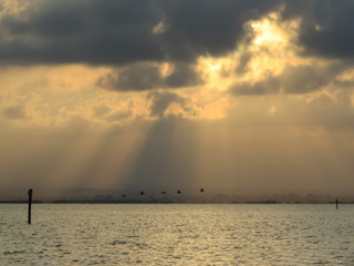 La Albufera de Valencia