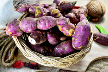 Corn, sweet potatoes, carrots, potatoes, cabbage, onions, peas, vegetables put on sackcloth together.