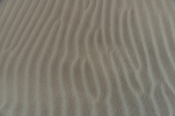 Fototapeta na wymiar Sand and wood in the beach