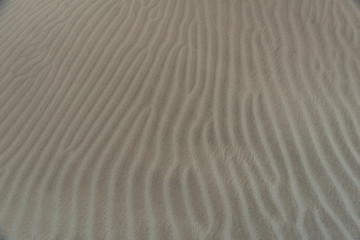 Sand and wood in the beach