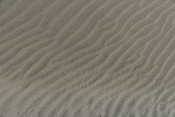 Wind pattern on a sand looks like a wood in the beach
