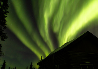 アラスカ フェアバンクスのオーロラ