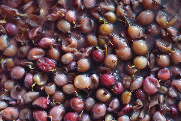 The process of  berry wort fermentation for making wine